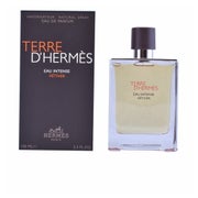 Hermes Terre D'Hermes Eau Intense Vetiver Edp Spray 0,1 l