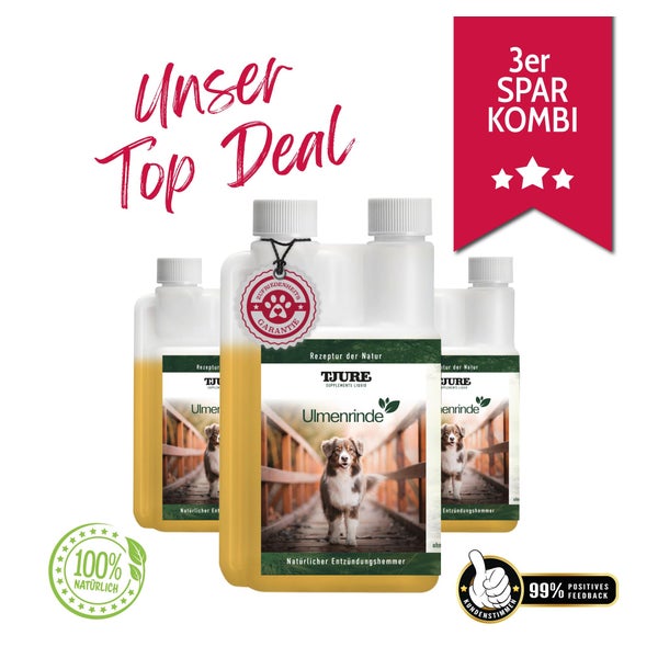 TJURE - Ulmenrinde Liquid -3x 500 ml |Naturkraft für ein gutes Bauchgefühl 1500,00 ml