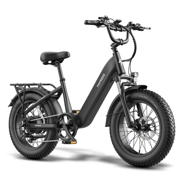 FAFREES F20 Rover Tiefeinsteiger-E-Bike, 48V 20Ah 1 St