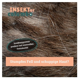 Insekten Hundefutter, Allergiker & Sensible Hunde, 10 kg 10000 g online  kaufen | DocMorris