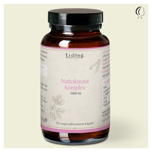 Nattokinase - Komplex 2000 FU - 120 DR Kapseln 120 St