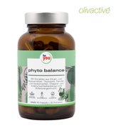 Produktabbildung: for you eHealth phyto balance 60 St