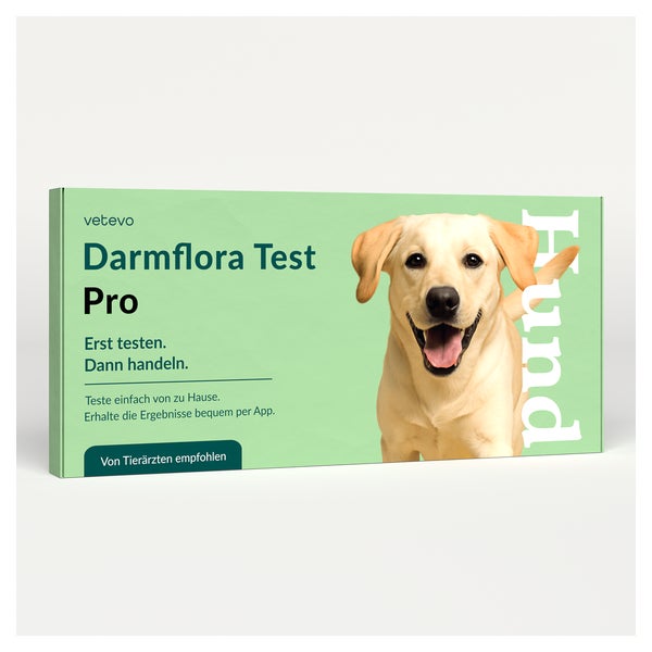 Darmflora Test Pro Hund 1 St