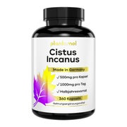 plantomol® Cistus Incanus Kapseln - reines Zistrosenkraut