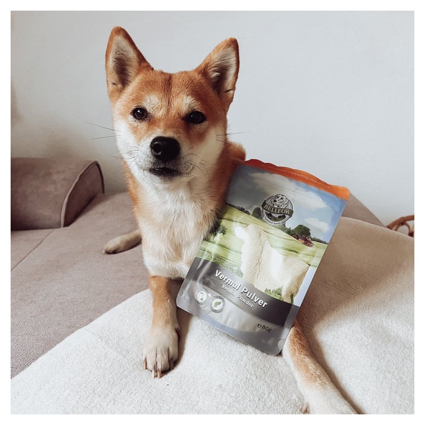 Bellfor Nahrungsergänzung für Hunde Vermal Pulver 250g 250 g