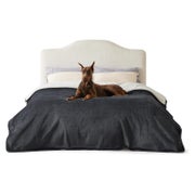 Hundedecke wasserdicht waschbar XXXXL (274x218cm) Dunkelgrau 1 St