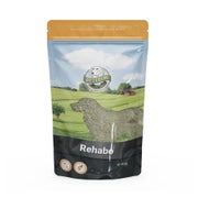 Bellfor Nahrungsergänzung für Hunde - Rehabo Pulver 80g