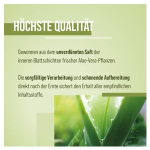 Sanct Bernhard Aloe-Vera-Trinkgel 3 x 1000 ml 3000 ml online kaufen |  DocMorris