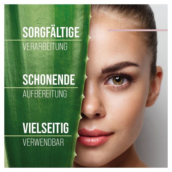 was kostet aloe vera pflanze Aloe Vera „Alfonso“ – Aloe-Vera-Pflanze in Gärtnerqualität kaufen main image 0