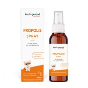 Propolis Spray Kinder, 10% Propolis Mundspray - kindgesund 30 ml
