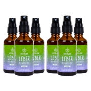 BitterLiebe Leber* Komplex Spray - Leberkur* - natürliche Unterstützung der Leberfunktion* mithilfe von Cholin - hochdosiert mit Mariendistel Artischocke Löwenzahn und Bitterstoffen 6x 50 ml