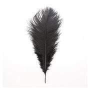 Liane - Ostrich feather 1 St