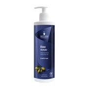 Bioturm Glanz Shampoo 500 ml