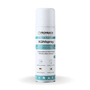 Produktabbildung: Frohbach Kühlspray 300 ml transparent, 1 Stück 300 ml