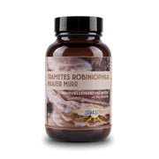 Sanos Trametes Robiniophila Huaier Murr - Pilzextrakt 90 St