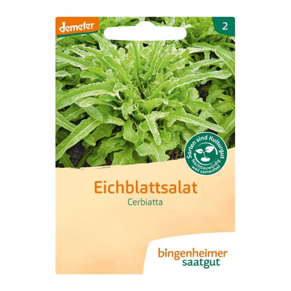Bingenheimer Saatgut - Eichblattsalat Cerbiatta