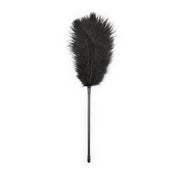 Ostrich Feather Tickler 1 St