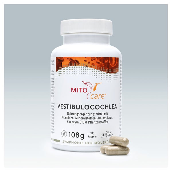 Vestibulocochlea 180 St