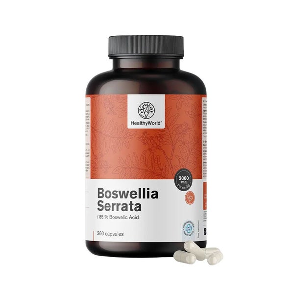 HealthyWorld Weihrauch (Boswellia serrata) Boswelliasäure 360 St