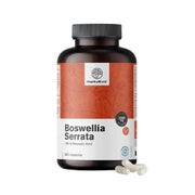 HealthyWorld Weihrauch (Boswellia serrata) Boswelliasäure 360 St