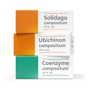 Produktabbildung: Solidago+ Ubichinon+ Coenzyme ad us vet 1 Set