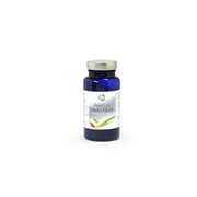 Agaricus Blazei Murrill Extrakt – Pflanzenextrakt mit Vitamin C