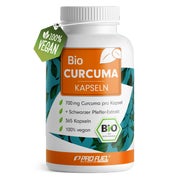 ProFuel - Bio Curcuma Kapseln 700mg aus biologischem Anbau 365 St