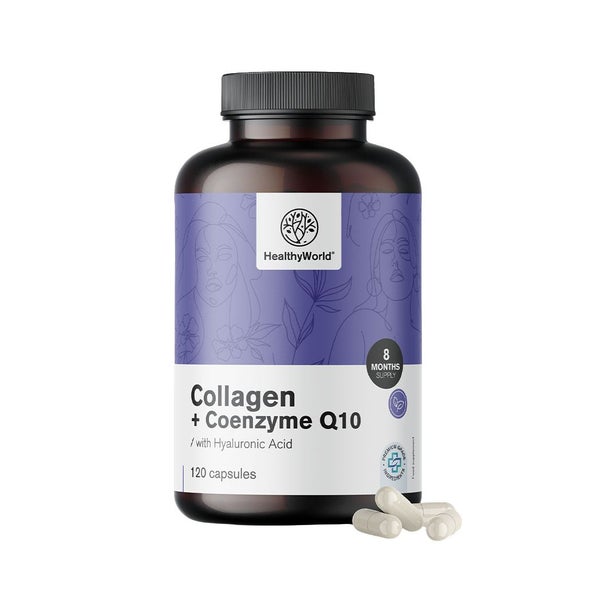 HealthyWorld Kollagen + Coenzym Q10 – Mit Hyaluronsäure, Vitaminen & Mineralien 120 St