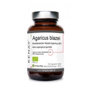 Agaricus blazei Brasilianischer Mandel-Egerling KENAY® 60 St