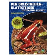 Der Dreistreifen-Blattsteiger