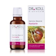 Produktabbildung: Gemmo Mazerat Kastanie Dr.Koll Castanea vesca Tropfen 50 ml