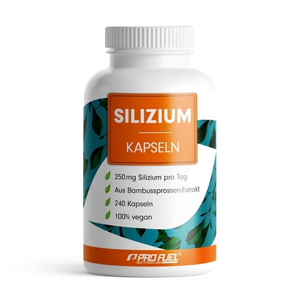 ProFuel Silizium 0.1 kg