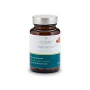 Vitalsee YAMS Wurzel 300 Extrakt 90 St