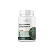 VitaSanum® – Stechender Mäusedorn (Ruscus aculeatus) – 500 mg 100 St
