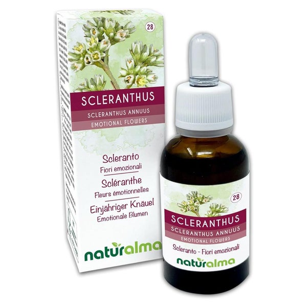 Naturalma Einjähriger Knäuel Scleranthus annuus Tropfen 30 ml