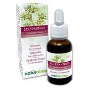 Naturalma Einjähriger Knäuel Scleranthus annuus Tropfen 30 ml