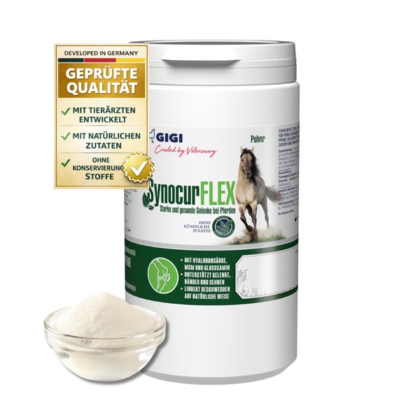 GIGI VET SynocurFlex Gelenke Für Pferde Pulver 900 g 900 g