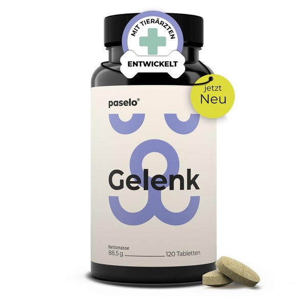 paselo Gelenktabletten für Hunde 120 St