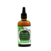 Cordyceps alkoholfreier Extrakt 1:1 (100ml) 100 ml