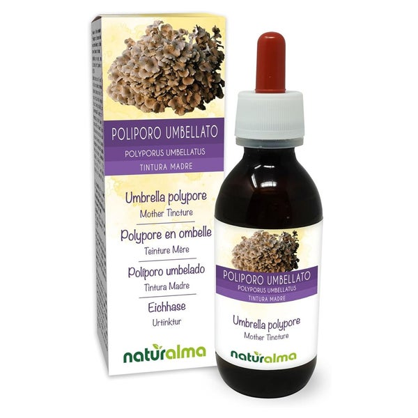 Naturalma Eichhase Polyporus umbellatus  Flüssig Extrakt 120 ml