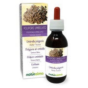 Naturalma Eichhase Polyporus umbellatus  Flüssig Extrakt 120 ml