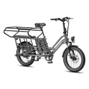 FAFREES FF20 CUV Elektro-Lastenrad, 15-Ah-Doppelakku 1 St