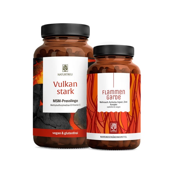 MSM, Kurkuma & Weihrauch Vorteilspaket: Methylsulfonylmethan trifft Ayurveda Kur in einem veganen Bundle - VULKANSTARK & FLAMMENGARDE - NATURTREU® 292.0 g