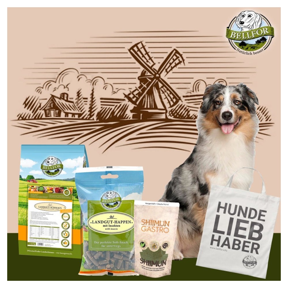 Bellfor Futterset für mittelgroße Hunde mit Verdauungsproblemen 2,750 g 2750 g