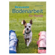 Bewusste Bodenarbeit für Hunde
