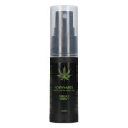 «Hanf Delay Spray» 15 ml – Verzögerungsspray (0.015 l) 15 ml