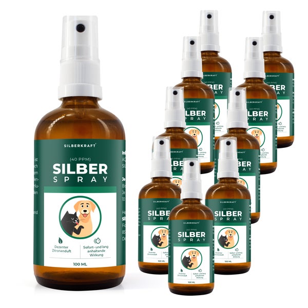 Silberkraft Kolloidales Silberspray 10 x 100 ml 1000 ml