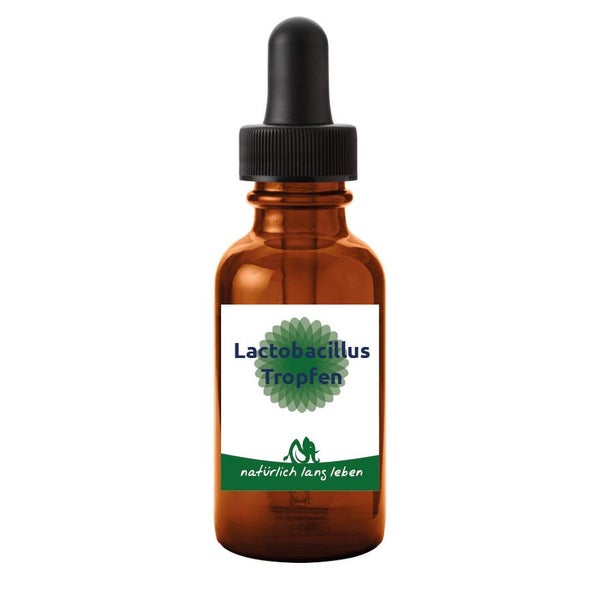 Lactobacillus Tropfen 20 ml
