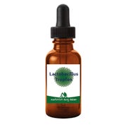 Lactobacillus Tropfen 20 ml