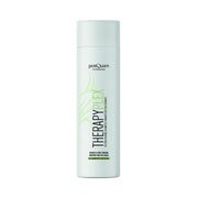 POSTQUAM HAARPFLEGE Plex Postquam Therapie Shampoo  250 ML